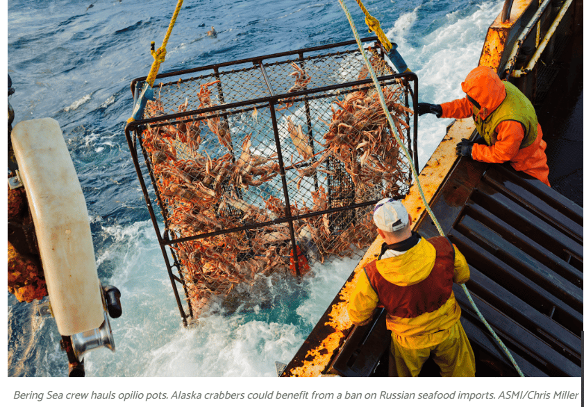 Warming Waters Force Alaska To Cancel Snow Crab Season For First Time